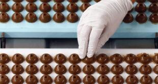 Шоколадный бизнес: план производства шоколада