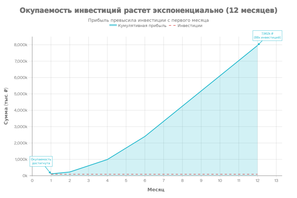 Окупаемость: инвестиции 90 тыс. окупаются в первый день, прибыль за год 7,96 млн