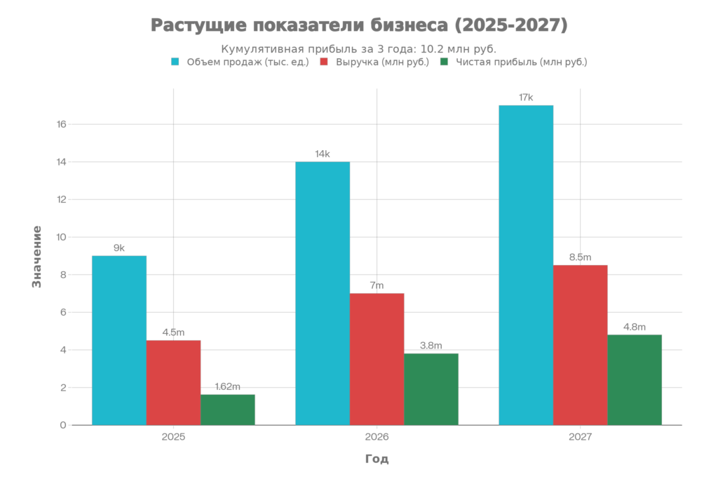 Прогноз развития бизнеса на 2025-2027 годы