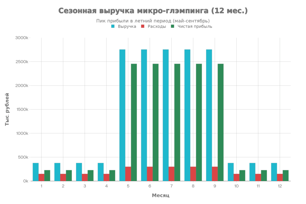 Прогноз выручки, расходов и прибыли за 12 месяцев (микро-глэмпинг)